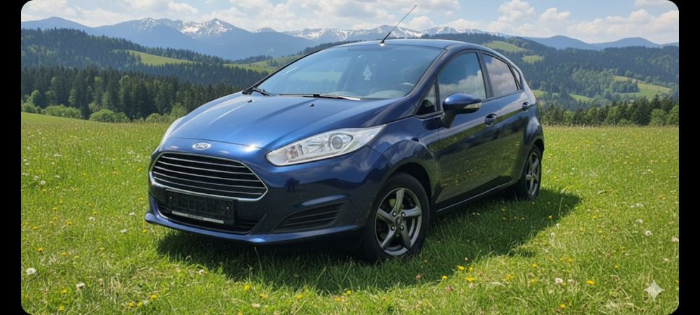 Ford fiesta 1.6tdci