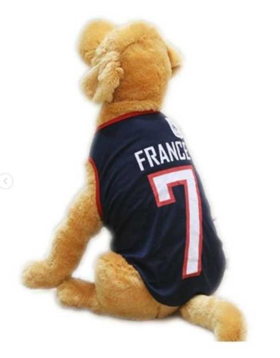 летние майки для собак