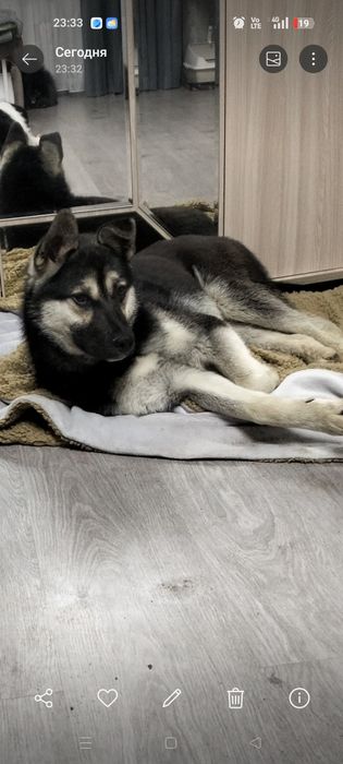 Пацан в добрые, надёжные руки!!!