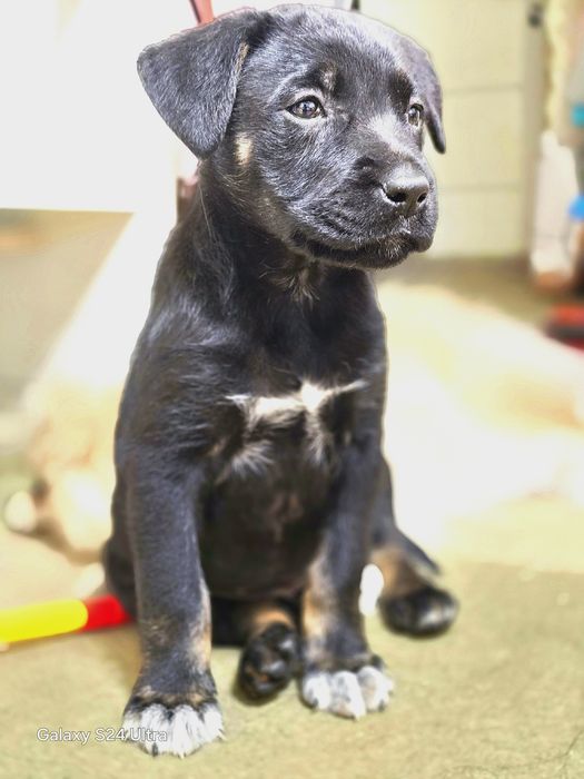 Девочка ищет дом