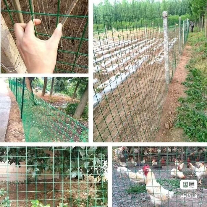 Qush setka yashil/ЗЕЛЁНАЯ СЕТКА для ПТИЦЫ/Zavoddan optom narxda