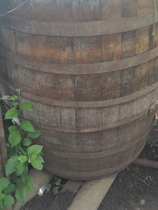 Butoi vin            .