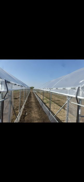 Sere si i Solarii Profesionale