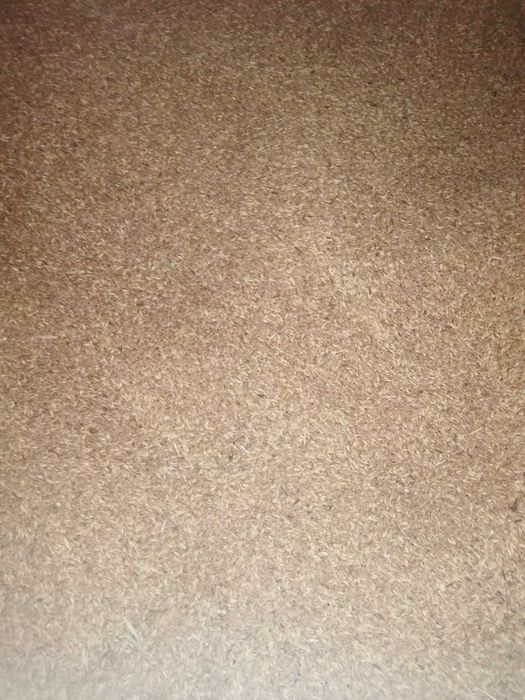 Vând Grâu recoltă proprie 2025