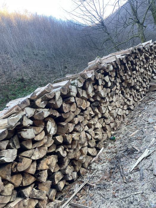 ‼️Lemne de foc de calitate superioară [Fag,Gorun,Carpen,Cer]