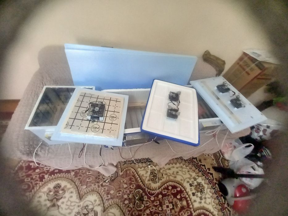 Inkubator yasash xizmati