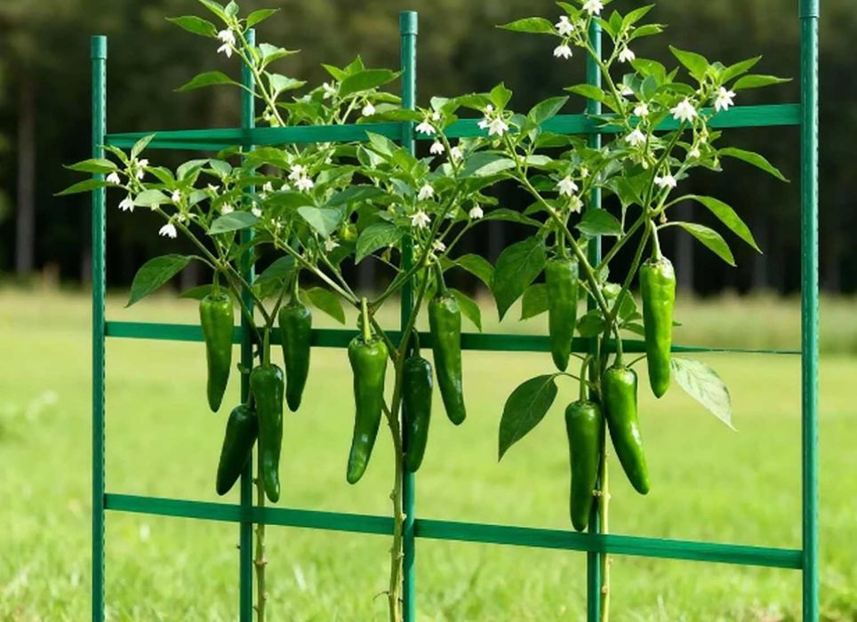 Set 20 de araci gradina pentru plante, metal cu PVC verde