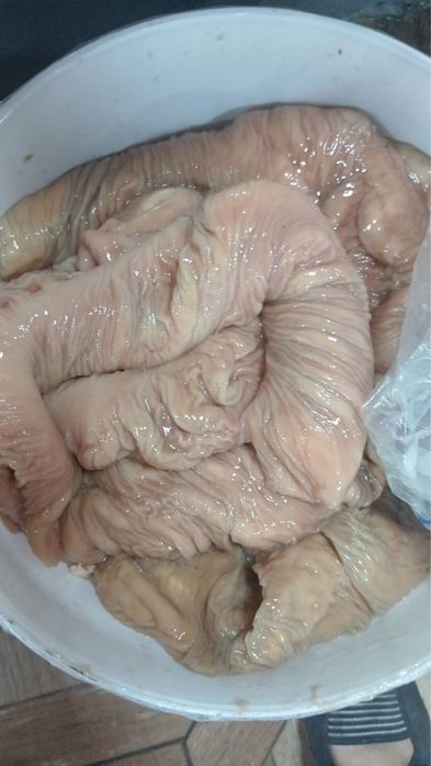 Продам кости,мягкие отходы