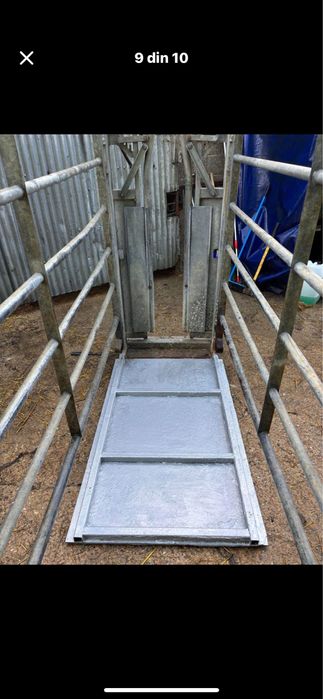 Stand contentie bovine de carne