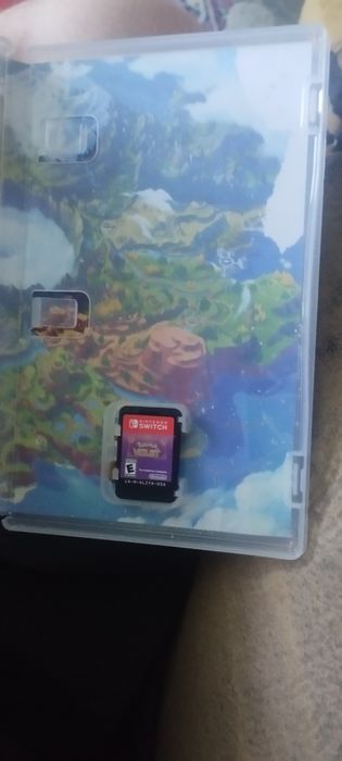 Pokemon Violet nds