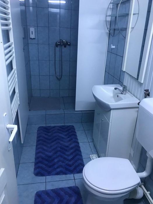 Apartament de vanzare / Spațiu comercial