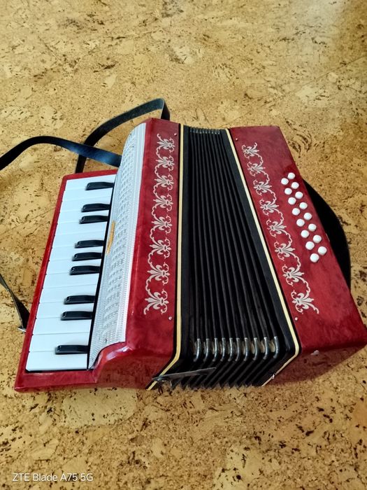Детски акордеон 4+