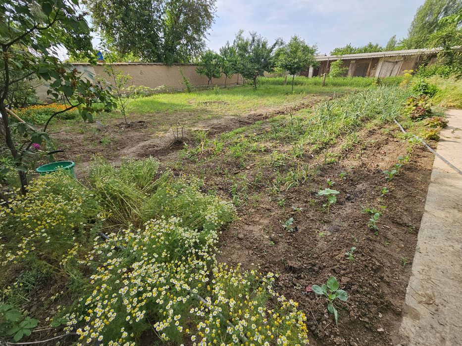 Продам свою дачу(24сотки) со всеми удобствами и постройками