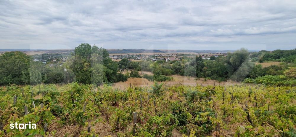 Teren intravilan, 6850 mp, Simnicul de sus