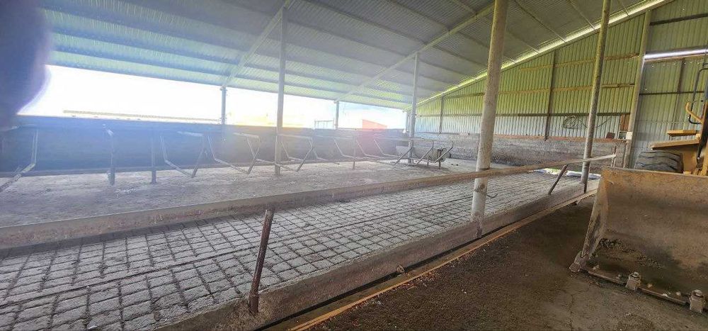 Ферма 10 Га по трассе Самарканд Карши