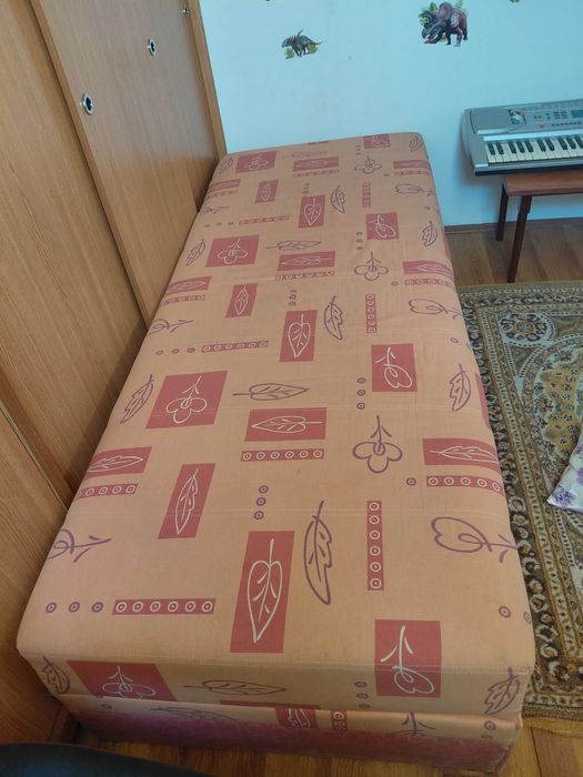 Pat o persoana cu lada depozitare