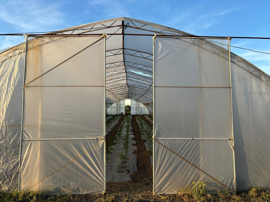 Продавам оранжерии и инвентар