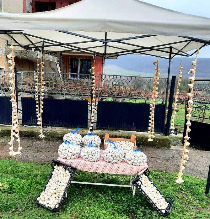 Български зимен чесън собствено производство! Без химикали и пестециди