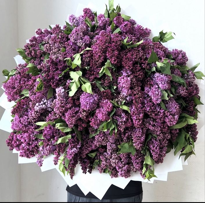 Сирень — большие букеты