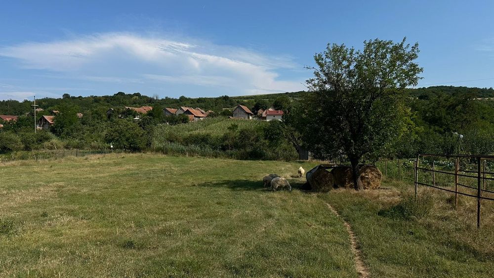 Cabana și Teren Generos în localitatea Hening