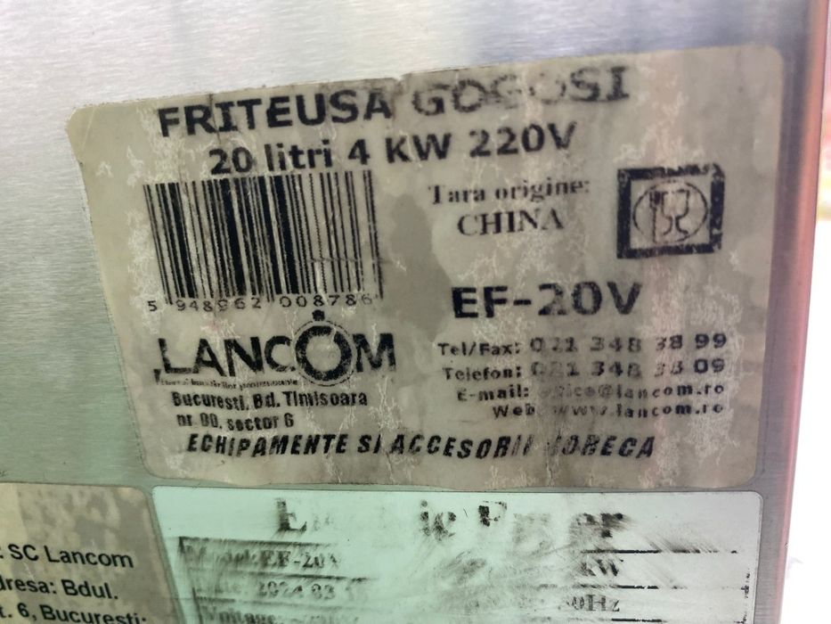 Fripteuza profesionala