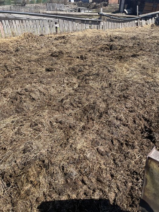 Продам навоз машина Урал