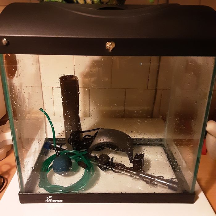 Acvariu Diversa complet dotat