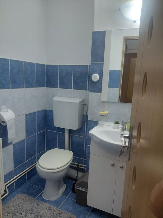 Apartamente de vanzare