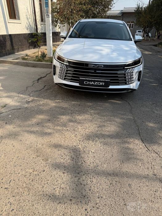 BYD chazor 2024 yil