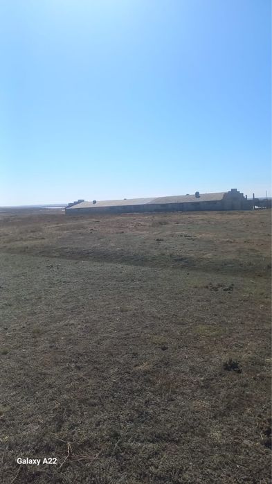 Продам крестьянское хозяйство