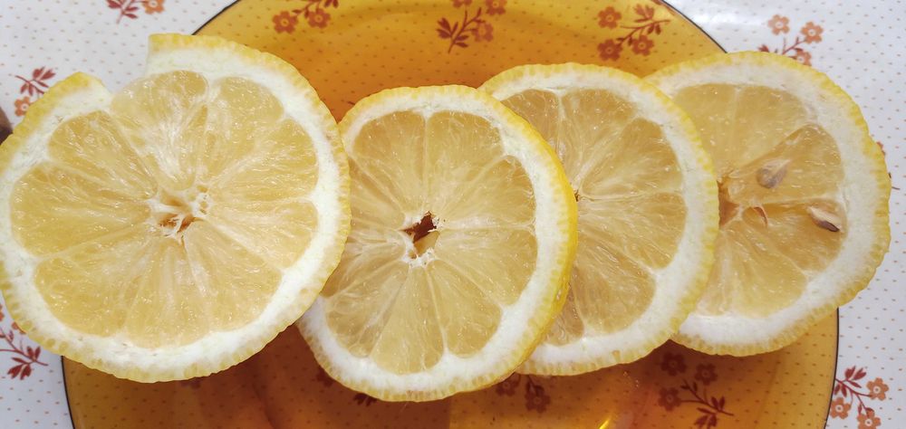 лимони-лимонови дръвчета