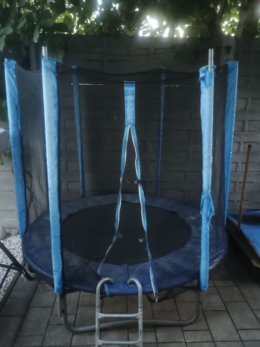 Trambulina Mappy 183cm cu plasa de protectie si scara