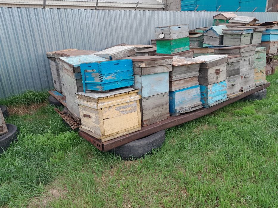 Продам улья для пчел