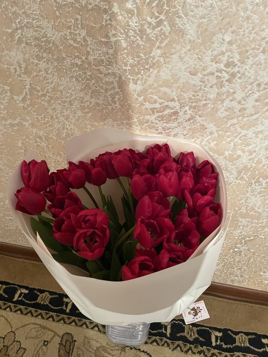 Тюльпаны 60-65 см есть наличия четыре цвета