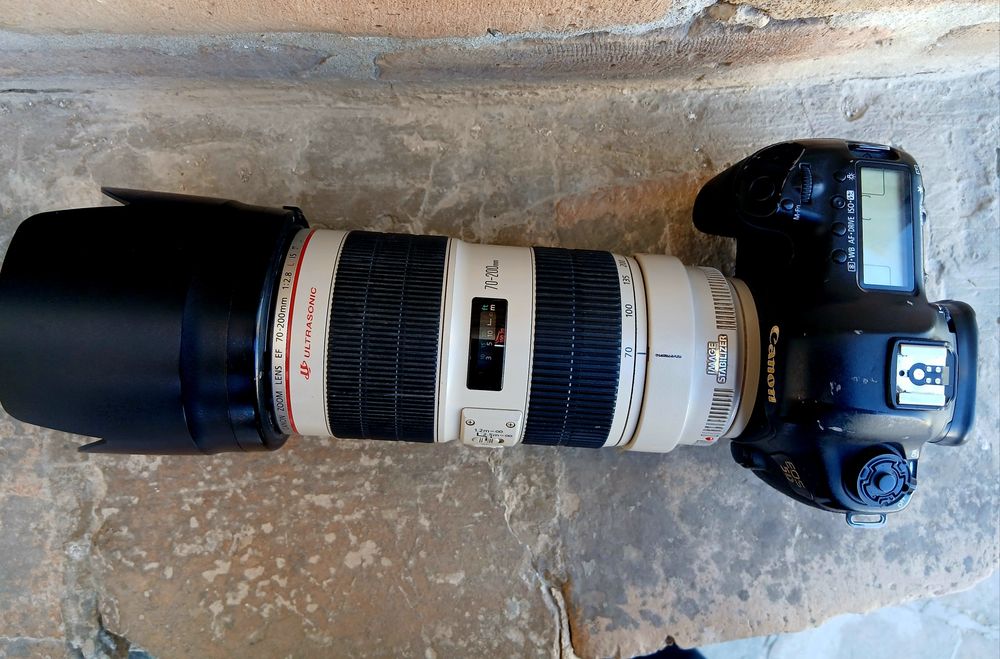 Canon Mark III 5D