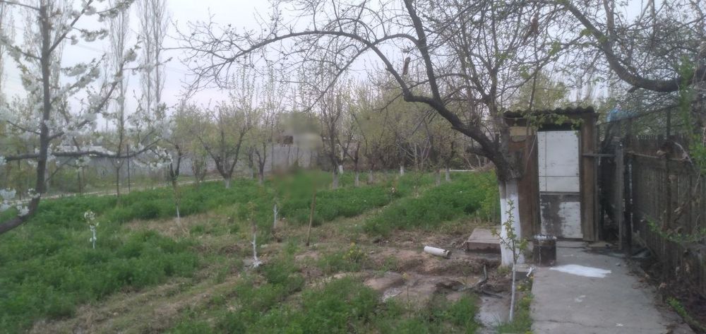 Дача сотилади срочно