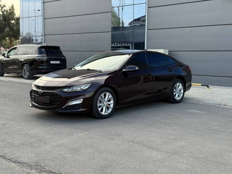 Malibu 2  Premier бардовый ранг