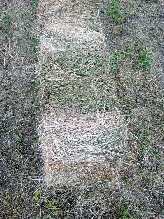 Baloți lucerna cu fan