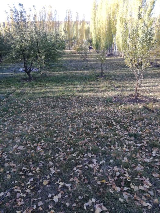 16 соттық жер сатылады