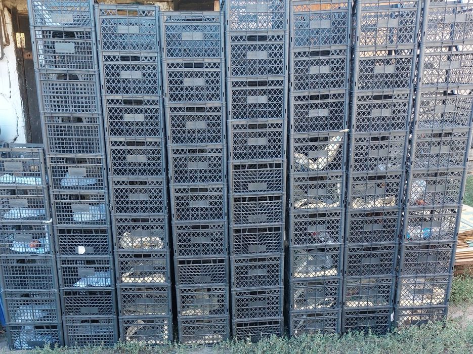 Продам ящики  пласмасовые