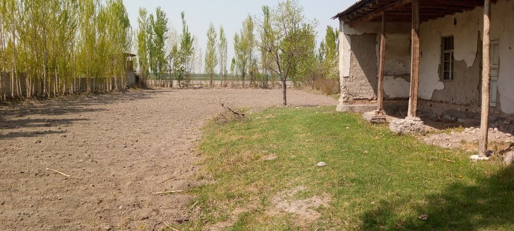 15 sotikli chek sotiladi