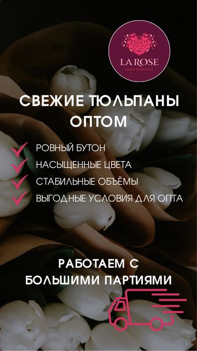 Бронь тюльпанов ОПТОМ на весну 2026