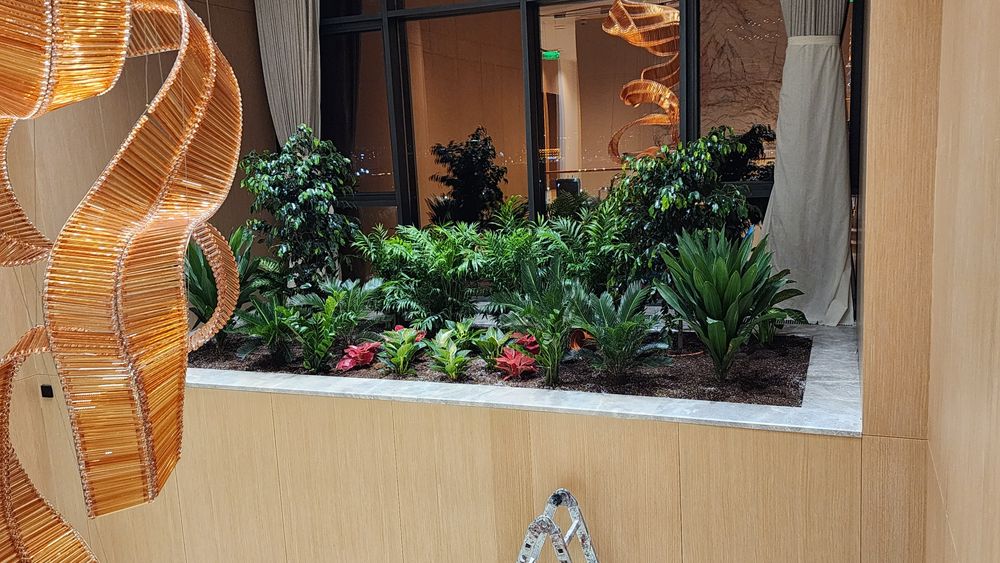 Уход за растениями