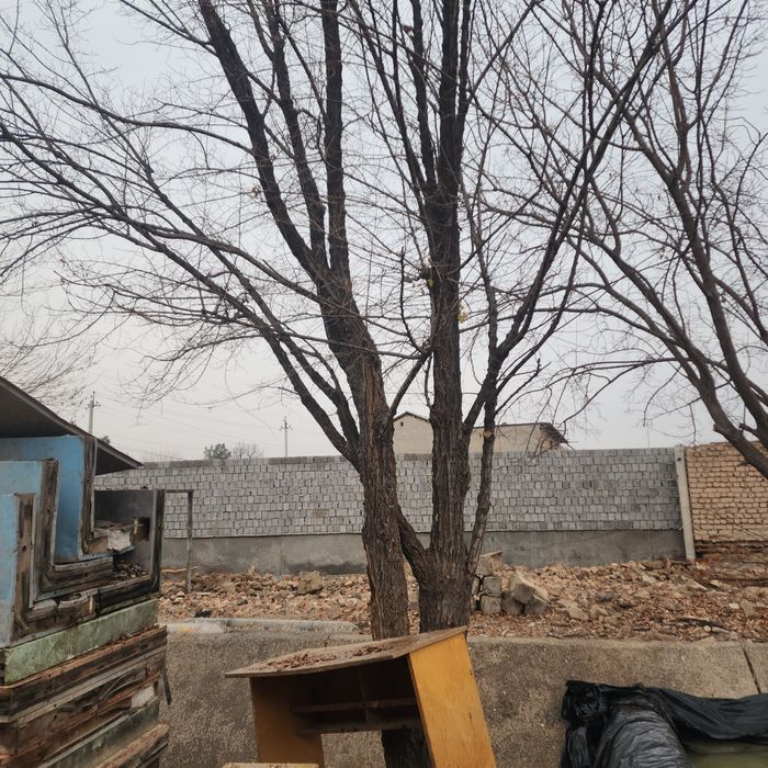 O'tin va vassaliklar sotiladi