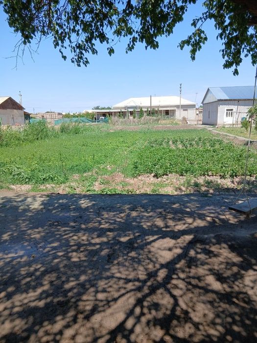 Беговотда Жой урни сотилади