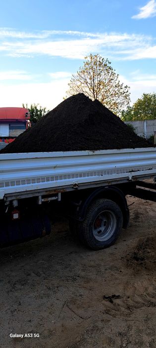 Mranita ( balegar macerat) pentru gradina