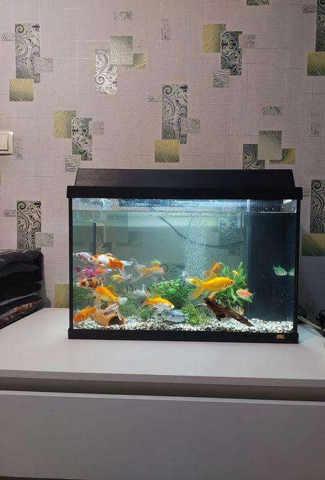 Аквариум 85л рыбками корм