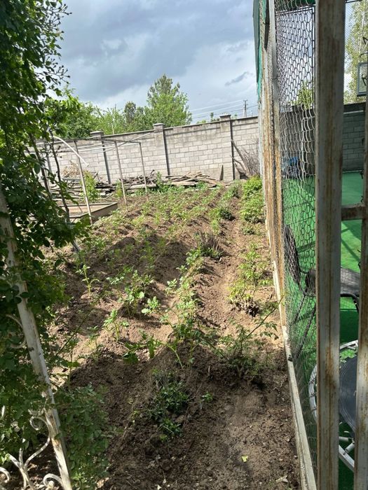 Nazarbekda uchaska tikuv sexi uchun arendaga beriladi