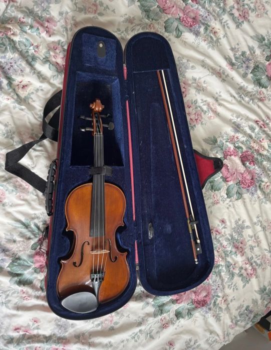 vioara putin defectă