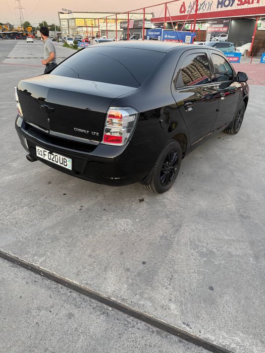 Cobalt MIDNAIT 2025г